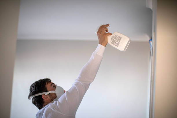 Best Local Mold Removal Service  in Newton, AL